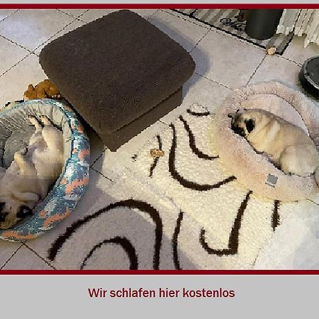 Stadt-Gut-Hotel Rheinischer Hof Эссен Экстерьер фото